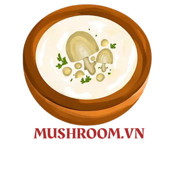 mushroom.vn