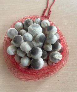 Nấm Rơm Tươi