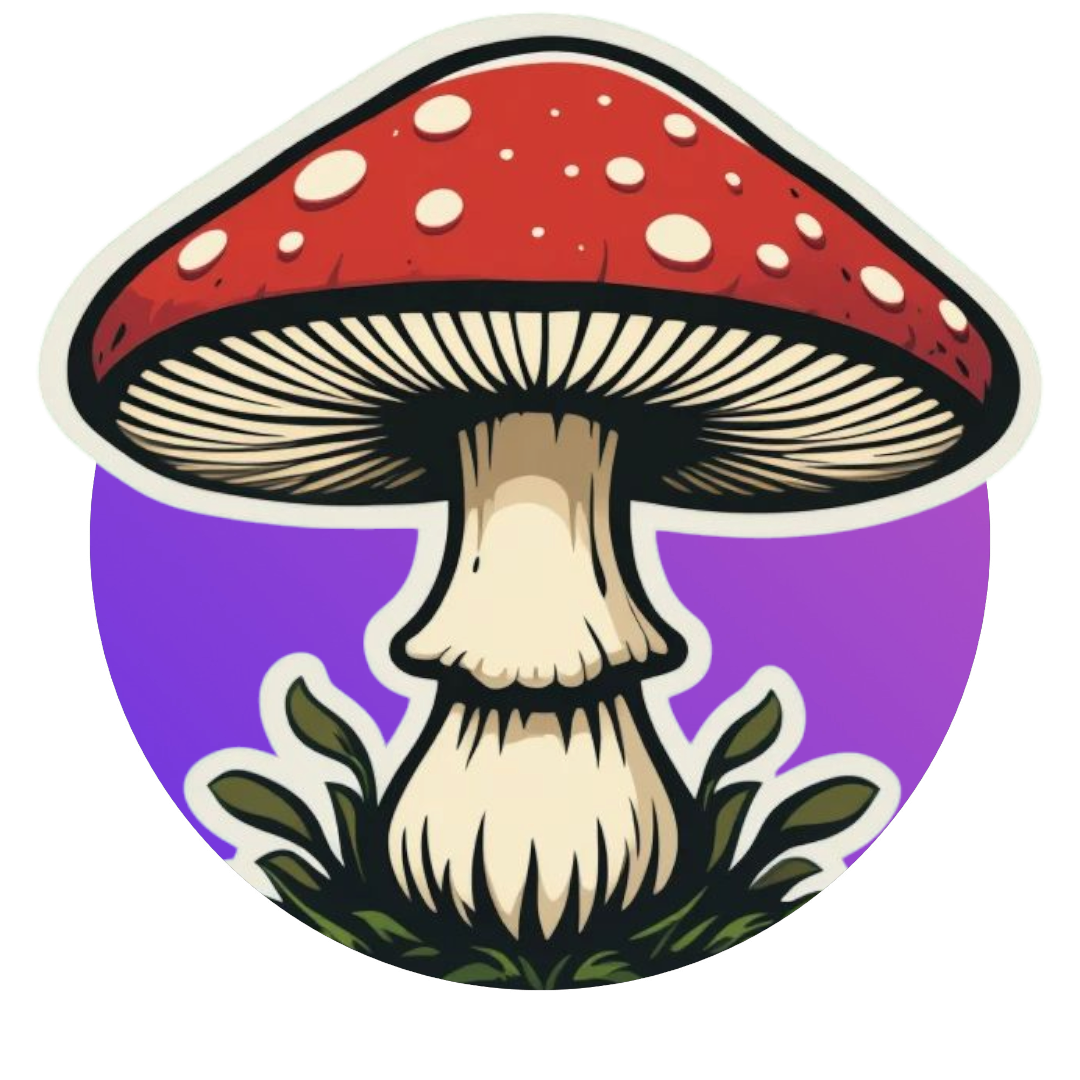 mushroom.vn